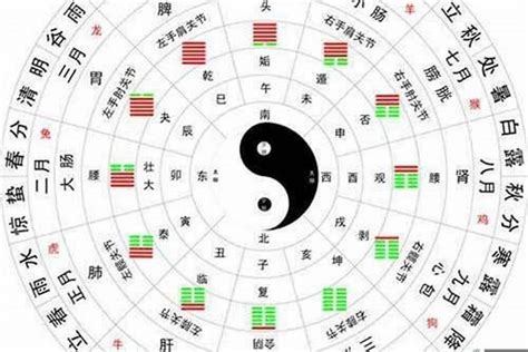 金土字|五行汉字属性查询